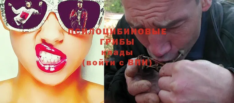 Галлюциногенные грибы Magic Shrooms Хасавюрт